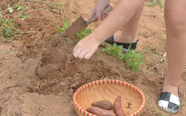 Top 5 dịch vụ độc đáo chỉ có tại khu giải trí BCR quận 9 | Saigon Star Travel top-5-dich-vu-doc-dao-chi-co-tai-khu-giai-tri-bcr-quan-9-4