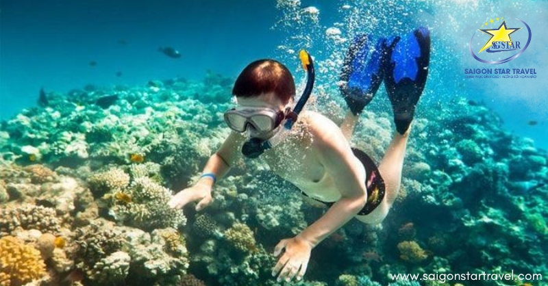 Review Tour 4 Đảo Phú Quốc: 1 Ngày Khám Phá Thiên Đường Biển Cả | Saigon Star Travel tour 4 đảo phú quốc - lặn ngắm san hô