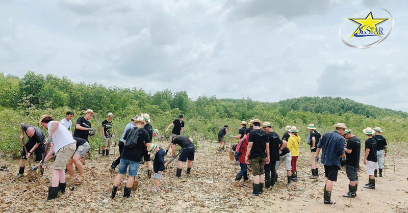 Tour Bến Tre 1 Ngày - Tour Du Lịch Thiền Nguyện & Trồng Cây | Saigon Star Travel tour ben tre 1 ngay