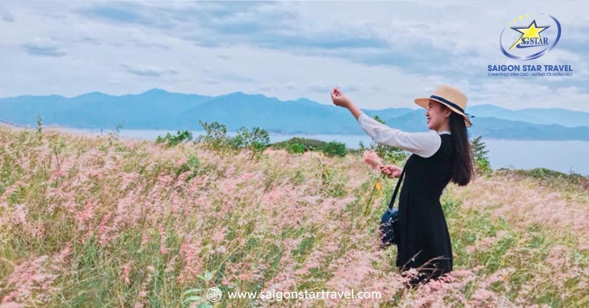 Ngắm nhìn vẻ đẹp thơ mộng ngay giữa đồi cỏ lau