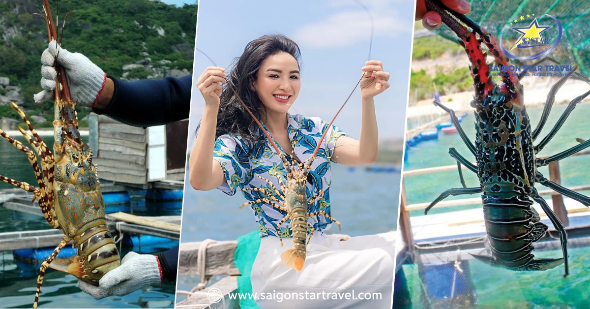 Bình Ba – Quốc đảo tôm hùm