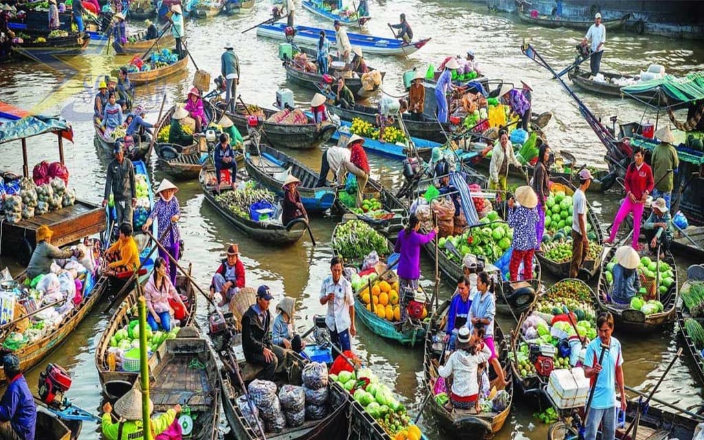 Kinh nghiệm đi Tour Cần Thơ Côn Đảo 2023 | Saigon Star Travel tour can tho con dao 5