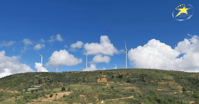 Tour Đà Lạt Lễ 2/9 - Bao trọn gói – 3N3Đ | Saigon Star Travel Tour Đà Lạt Lễ 2-9 Tham quan đồi chè Cầu Đất - Chụp ảnh với cánh đồng điện gió