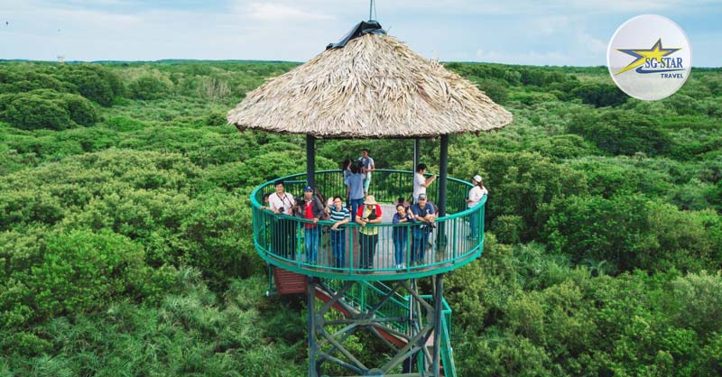 Tour Du Lịch Cần Giờ 1 Ngày - Khám Phá Đảo Khỉ - KDL Rừng Vàm Sát | Saigon Star Travel Toàn bộ khung cảnh KDL nhìn từ trên đỉnh Tháp Tam Bồng - Tour Du Lịch Cần Giờ