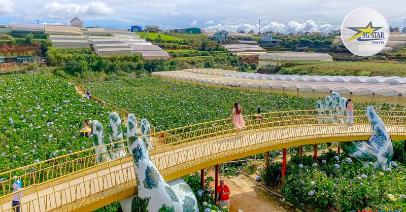 Tour Du Lịch Đà Lạt 4 Ngày 3 Đêm Mới Nhất | Bao Trọn Gói | Saigon Star Travel Check-in Cầu Vàng phiên bản Đà Lạt