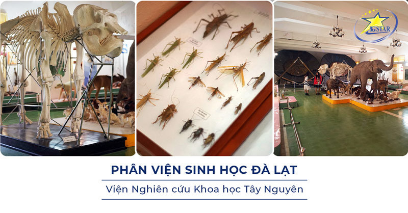 Tham quan Phân viện Sinh học Đà Lạt