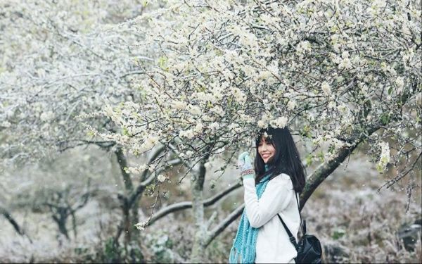 Tour du lịch Mộc Châu 3 Ngày 2 Đêm | Saigon Star Travel tour du lich moc chau 3 ngay 2 dem 11