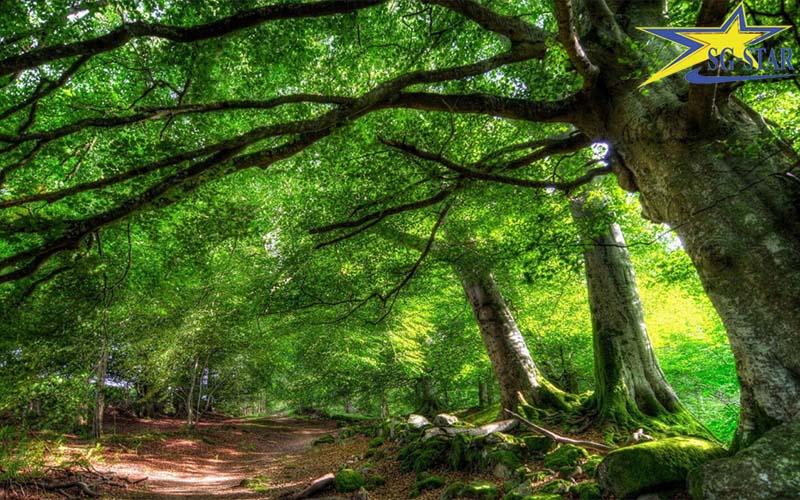 tour Phú Quốc 5 ngày 4 đêm tour Phú Quốc 5 ngày 4 đêm