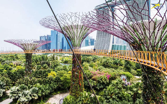 Tour Du Lịch Singapore Malaysia 5N4Đ - Liên Tuyến Hai Quốc Gia | Saigon Star Travel tour-du-lich-singapore-malaysia-5n4d-lien-tuyen-hai-quoc-gia-5