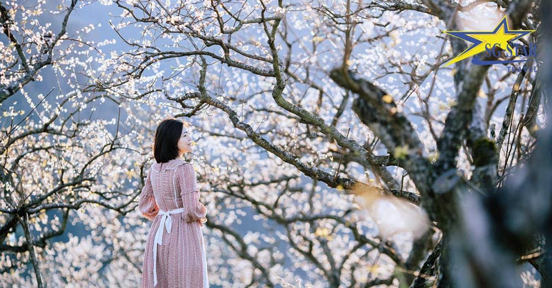 Tour Vòng Cung Tây Bắc 4 Ngày 3 Đêm | Saigon Star Travel Tour Du Lịch Tây Bắc 3 Ngày 3 Đêm