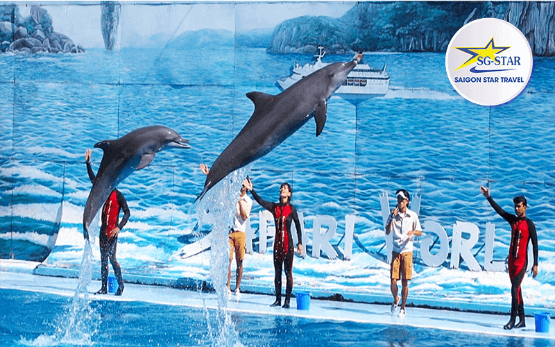 Tour du lịch Hạ Long 3 ngày 3 đêm - Tàu Golden Lotus Classic Cruise | Saigon Star Travel tour-ha-long-3-ngay-3-dem-sgs-10