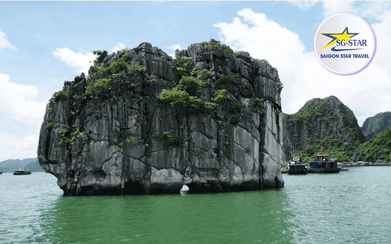 Tour du lịch Hạ Long 3 ngày 3 đêm - Tàu Golden Lotus Classic Cruise | Saigon Star Travel tour-ha-long-3-ngay-3-dem-sgs-4