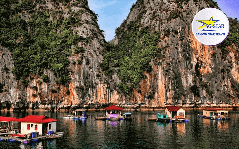 Tour Du lịch Hạ Long Tuần Châu 2 Ngày 1 Đêm | Saigon Star Travel tour-ha-long-tuan-chau-2-ngay-1-dem-sgs-3
