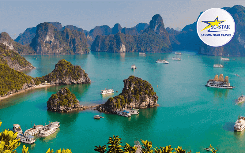 Tour Du lịch Hạ Long Tuần Châu 2 Ngày 1 Đêm | Saigon Star Travel tour-ha-long-tuan-chau-2-ngay-1-dem-sgs-5
