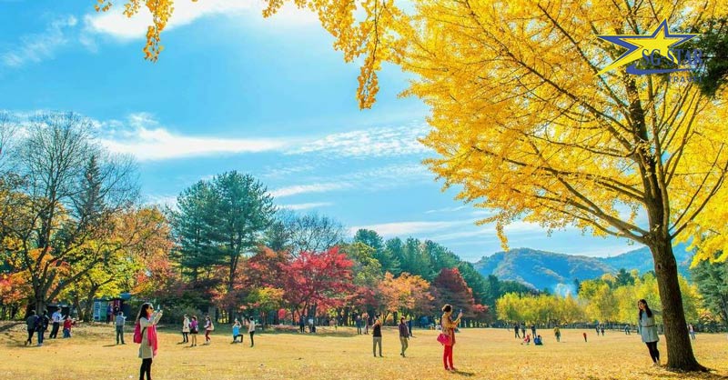 Tour Hàn Quốc 5N4Đ - Seoul - Nami - Everland | Saigon Star Travel Tour Hàn Quốc 5N4Đ - Seoul - Nami - Everland