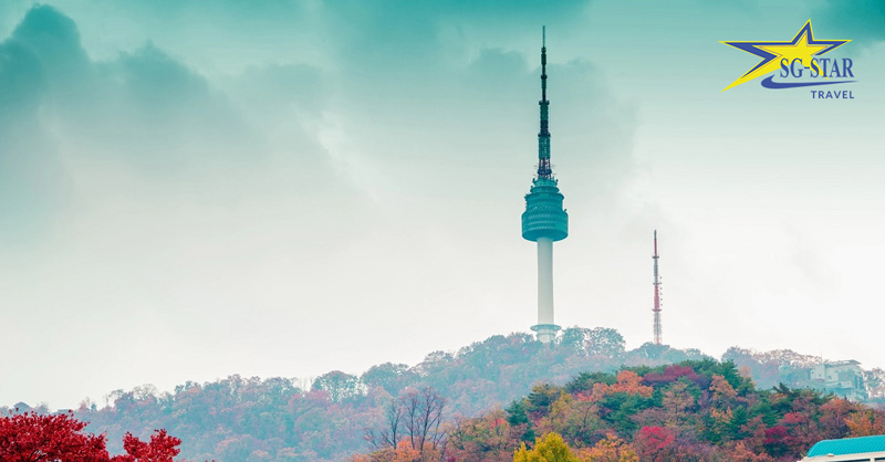 Tour Hàn Quốc 5N4Đ - Seoul - Nami - Everland | Saigon Star Travel tour han quoc 5n4d seoul nami everland 7