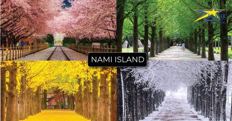 Tour Hàn Quốc 5N4Đ - Seoul - Nami - Everland | Saigon Star Travel tour han quoc 5n4d seoul nami everland