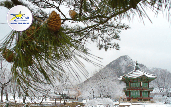 Tour hàn quốc tháng 1- Trải nghiệm kỳ nghỉ lễ tuyệt vời | Saigon Star Travel tour-han-quoc-thang-1-trai-nghiem-ky-nghi-le-tuyet-voi