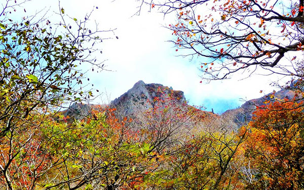 Review kinh nghiệm đi tour Hàn Quốc tháng 11. | Saigon Star Travel tour-han-quoc-thang-11-007