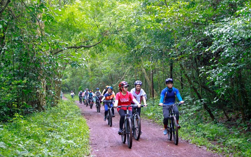 Tour Học tập Dã ngoại 1 Ngày - Chiến khu D - Thác Giang Điền | Saigon Star Travel tour-hoc-tap-da-ngoai-1-ngay-chien-khu-d-thac-giang-dien-3