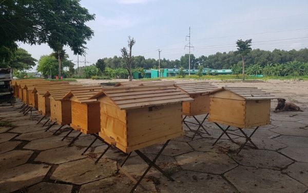 TOUR LÀNG NỔI TÂN LẬP – KHÁM PHÁ CÔNG VIÊN KỲ QUAN THẾ GIỚI 2023 | Saigon Star Travel tour lang noi t n lap kham pha cong vien ky quan the gioi 2019 13