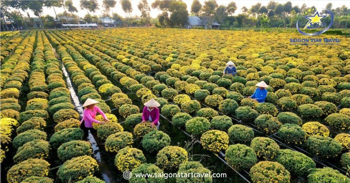 Lạc lối giữa sắc hoa rực rỡ tại Làng hoa Sa Đéc (Đồng Tháp)