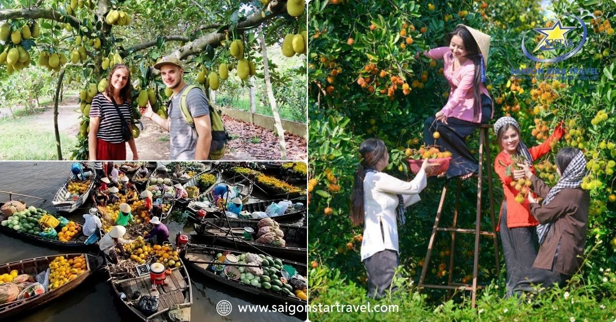 Thưởng thức trái cây tươi mát ngay tại vườn