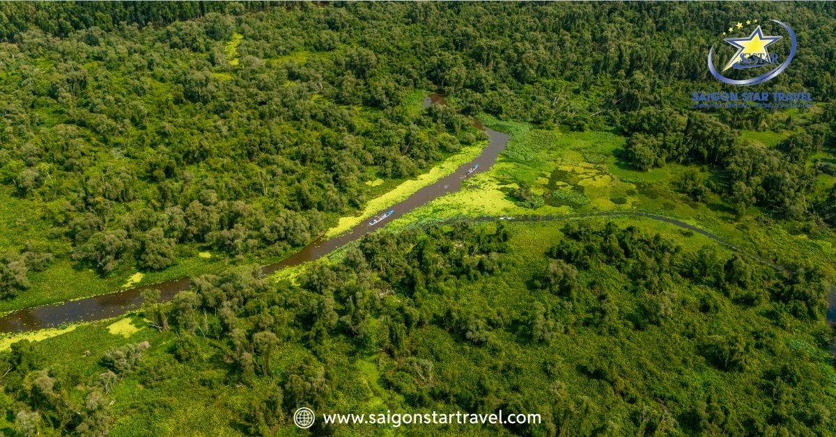 Rừng tràm Trà Sư - Thiên đường xanh ngắt không thể bỏ lỡ khi du lịch An Giang