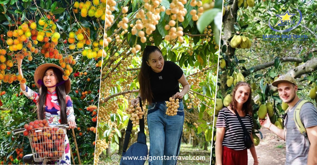 Check-in và thưởng thức trái cây chín mọng