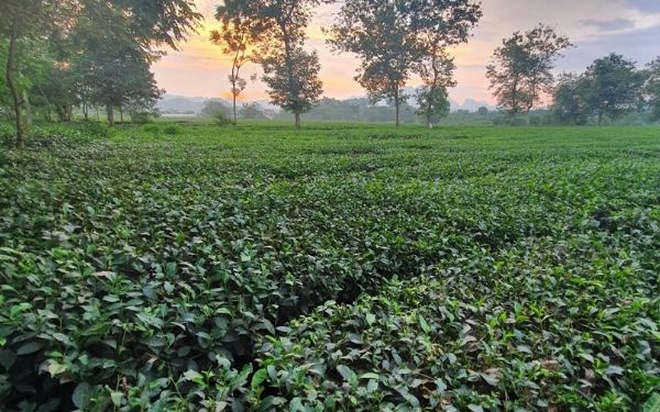 Tour Mù Cang Chải 3 ngày 2 đêm xuất phát từ TPHCM | Saigon Star Travel tour-mu-cang-chai-3-ngay-2-dem-xuat-phat-tu-tphcm-1