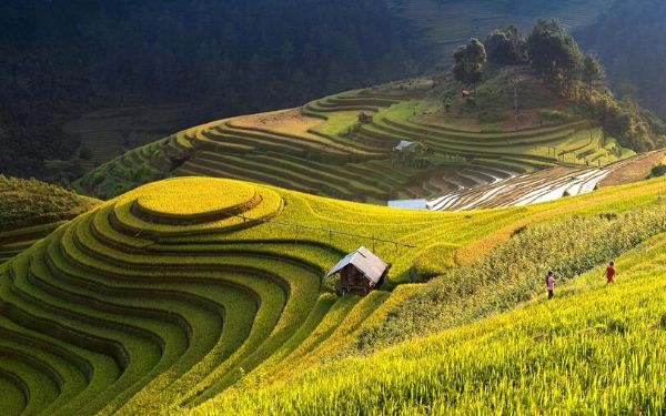 Tour Mù Cang Chải 3 ngày 2 đêm xuất phát từ TPHCM | Saigon Star Travel tour-mu-cang-chai-3-ngay-2-dem-xuat-phat-tu-tphcm-4