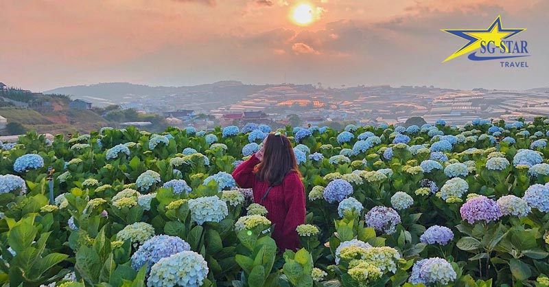 Tour Nha Trang Đà Lạt 4N4Đ - Du Lịch Nghỉ Dưỡng | Saigon Star Travel tour nha trang da lat 4n4d 4255 4