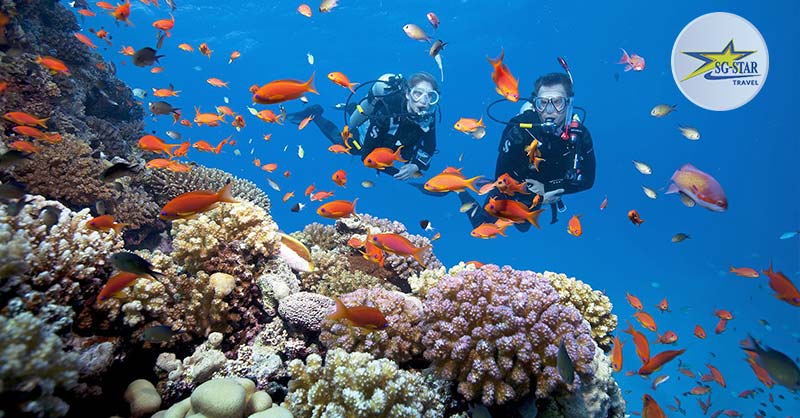 Bãi Trường Phú Quốc - Check-in Bãi Biển Dài Đẹp Nhất Phú Quốc | Saigon Star Travel Lặn ngắm san hô - Tour Nha Trang 4 Ngày 3 Đêm - Tết 2022