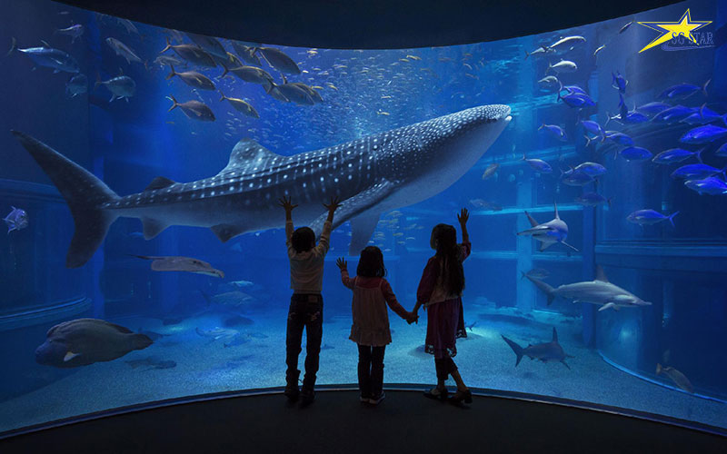 Tour Nhật Bản 4N4Đ - Vùng đất di sản Osaka | Saigon Star Travel tour-nhat-ban-4n3d-osaka-785-5