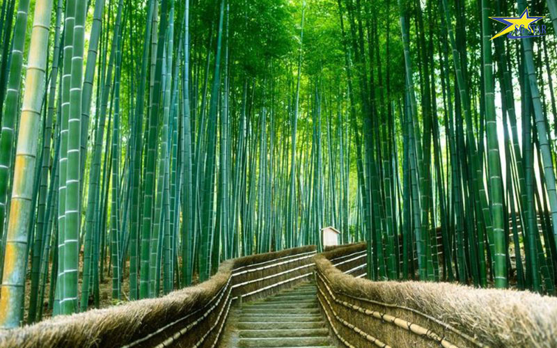 Tour Nhật Bản 4N4Đ - Vùng đất di sản Osaka | Saigon Star Travel tour-nhat-ban-4n3d-osaka-785-7