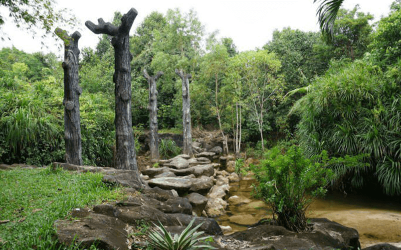 Tour Du Lịch Phú Quốc Tháng 1: Cẩm Nang Từ A Đến Z Cho Chuyến Đi Hoàn Hảo | Saigon Star Travel tour-phu-quoc-thang-1-2