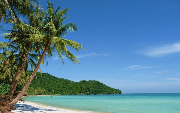 Du Lịch Phú Quốc Tháng 2: Tận Hưởng Tết Âm Lịch Trong Không Khí Ngày Xuân | Saigon Star Travel tour-phu-quoc-thang-2-mua-du-lich-cao-diem-1