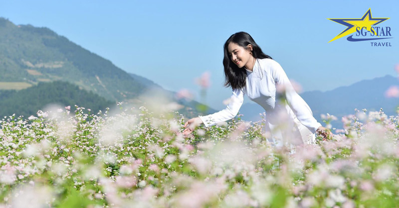 Tour Du Lịch Sapa - Fansipan - Hà Giang 5N4Đ | Saigon Star Travel tour sapa fansipan ha giang 5n4d 1