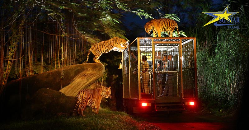 Tour Singapore 4 Ngày 3 Đêm – Sentosa – Garden by the Bay | Saigon Star Travel tour singapore 4n3d 9557 11