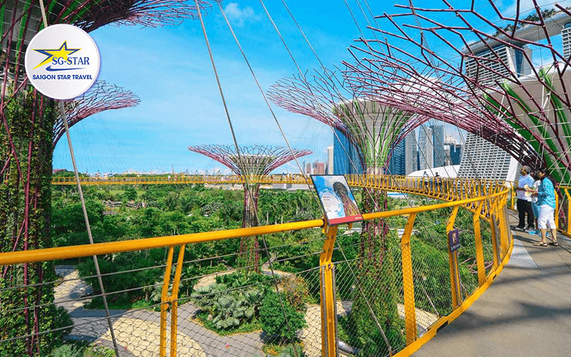 Tour singapore 5 Ngày 4 Đêm – Gardens By The Bay | Saigon Star Travel tour-singapore-5-ngay-4-dem-5