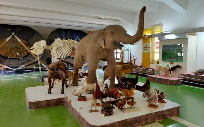 Tour Tham quan Dã Ngoại Đà Lạt - Thành Phố Ngàn Hoa - 3N2Đ | Saigon Star Travel tour tham quan da ngoai da lat thanh pho ngan hoa 3n2d 10