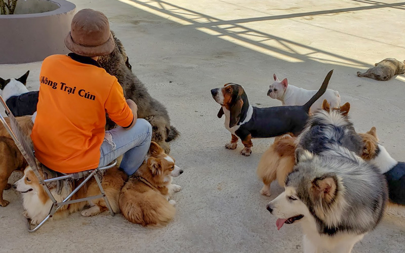 Tour Tham quan Dã Ngoại Đà Lạt - Thành Phố Ngàn Hoa - 3N2Đ | Saigon Star Travel tour-tham-quan-da-ngoai-da-lat-thanh-pho-ngan-hoa-3n2d-13