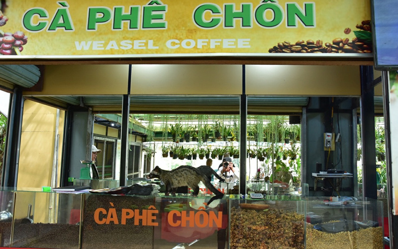 Tour Tham quan Dã Ngoại Đà Lạt - Thành Phố Ngàn Hoa - 3N2Đ | Saigon Star Travel tour-tham-quan-da-ngoai-da-lat-thanh-pho-ngan-hoa-3n2d-3