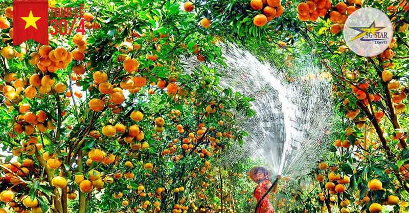 trai-cay-mien-tay-hap-dan