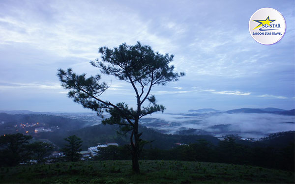 Trải nghiệm đi Đà Lạt một mình – những điều đặc biệt vô cùng | Saigon Star Travel trai-nghiem-di-da-lat-mot-minh-nhung-dieu-dac-biet-vo-cung-001