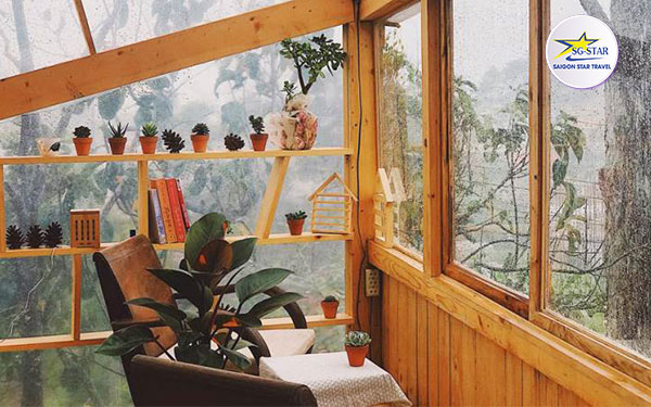 Trải nghiệm đi Đà Lạt một mình – những điều đặc biệt vô cùng | Saigon Star Travel trai-nghiem-di-da-lat-mot-minh-nhung-dieu-dac-biet-vo-cung-510