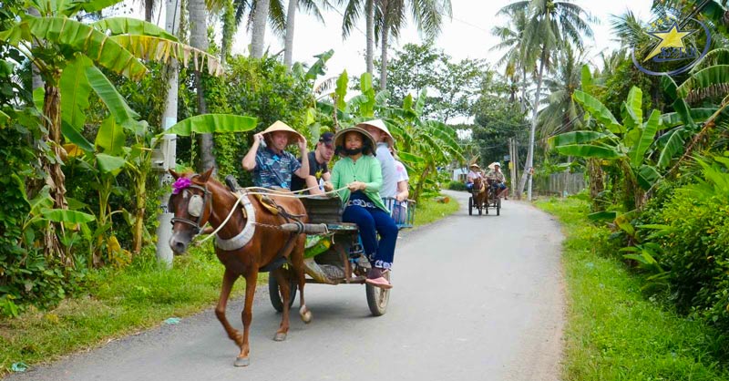 Trải nghiệm đi xe ngựa khám phá cuộc sống người dân miền tây thú vị