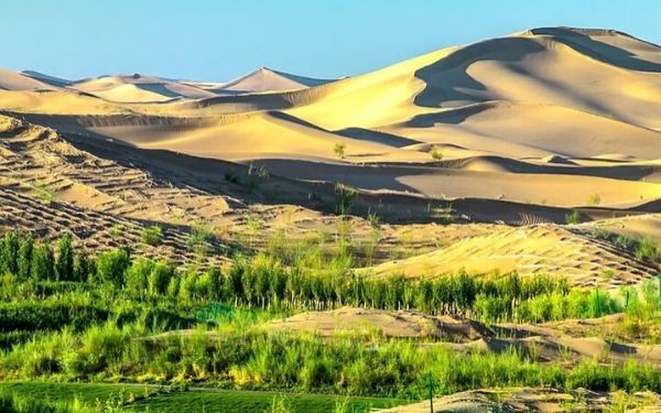 Trải nghiệm du lịch tour Mông Cổ hot nhất năm | Saigon Star Travel trai-nghiem-du-lich-tour-mong-co-hot-nhat-nam-3