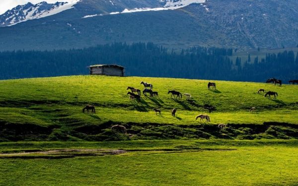 Trải nghiệm du lịch tour Mông Cổ hot nhất năm | Saigon Star Travel trai-nghiem-du-lich-tour-mong-co-hot-nhat-nam-6