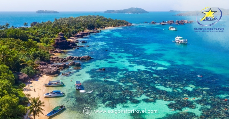 Lặn Ngắm San Hô Phú Quốc - Trải Nghiệm Tuyệt Vời Với Giá Tốt Nhất | Saigon Star Travel Trải nghiệm lặn ngắm san hô Phú Quốc